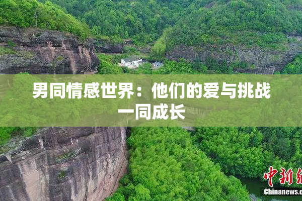 男同情感世界：他们的爱与挑战一同成长