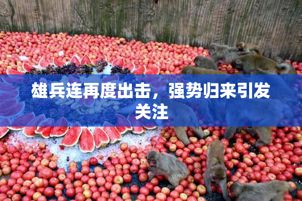 雄兵连再度出击，强势归来引发关注