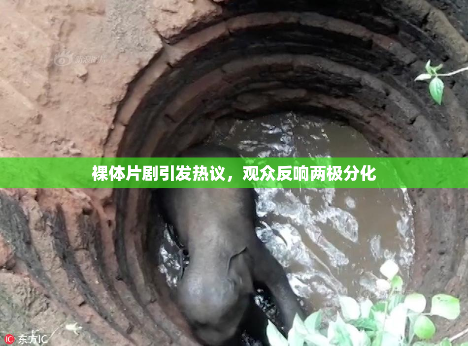 裸体片剧引发热议，观众反响两极分化