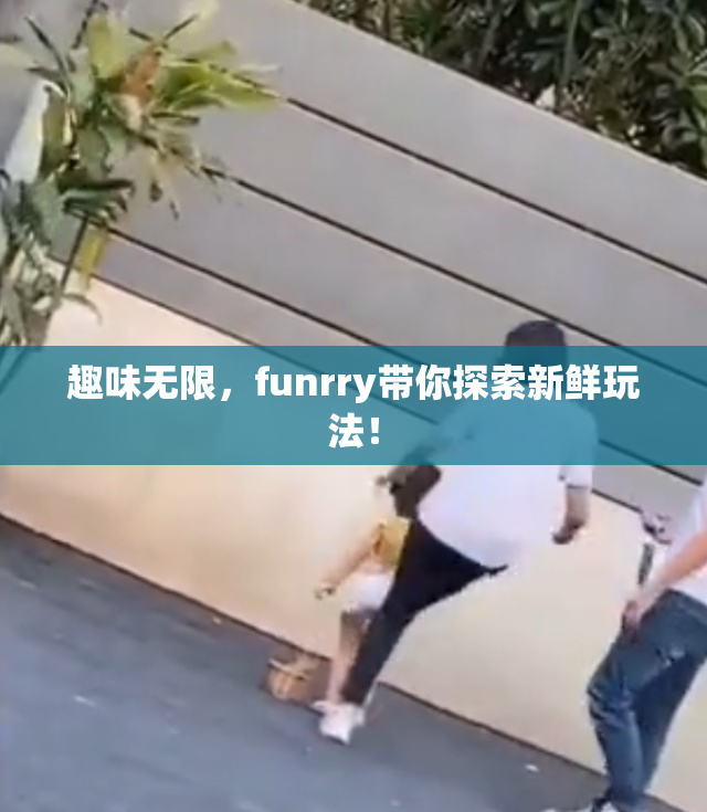 趣味无限，funrry带你探索新鲜玩法！
