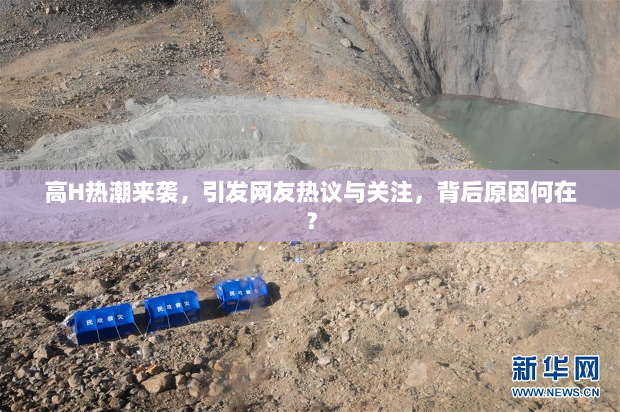 高H热潮来袭，引发网友热议与关注，背后原因何在？