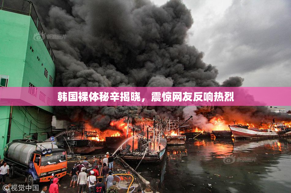 韩国裸体秘辛揭晓，震惊网友反响热烈