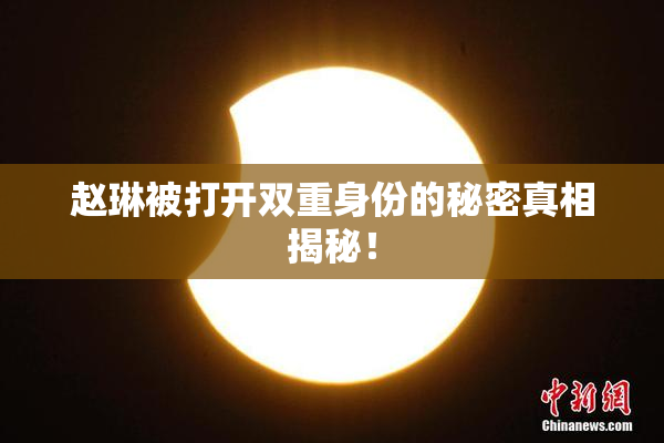 赵琳被打开双重身份的秘密真相揭秘！