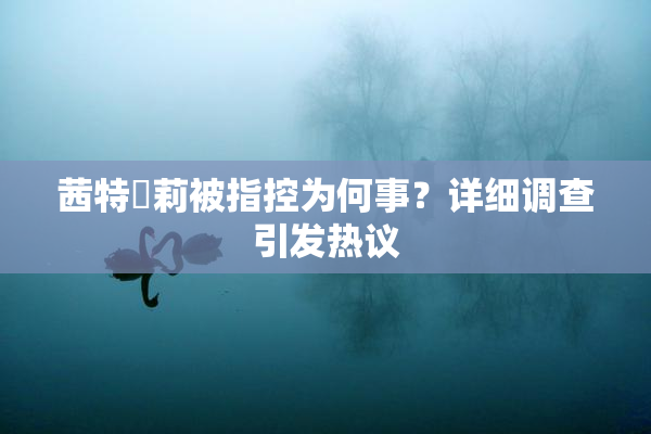 茜特菈莉被指控为何事？详细调查引发热议