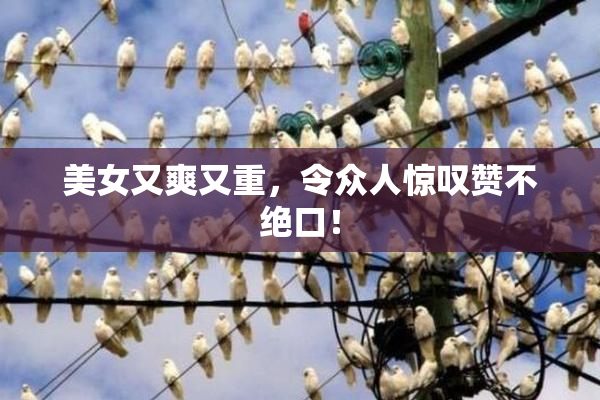 美女又爽又重，令众人惊叹赞不绝口！