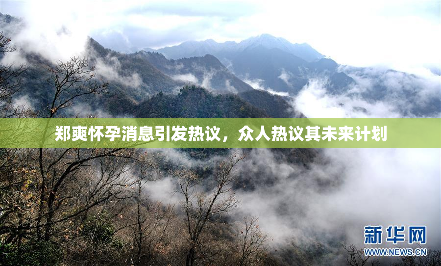 郑爽怀孕消息引发热议，众人热议其未来计划