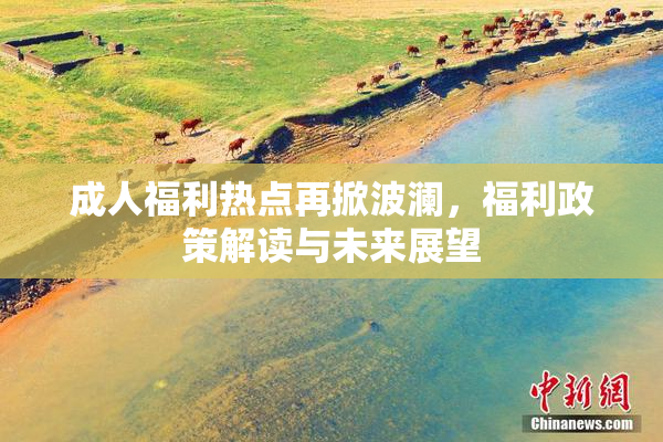 成人福利热点再掀波澜，福利政策解读与未来展望