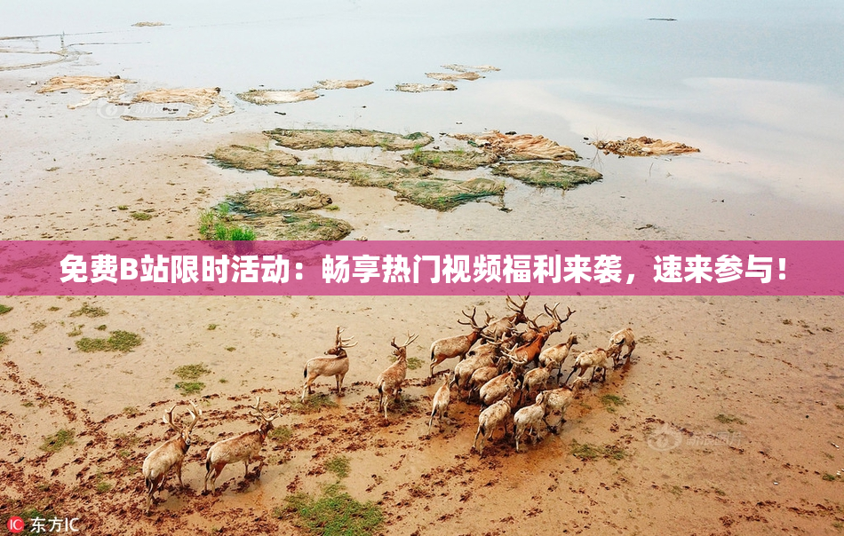 免费B站限时活动：畅享热门视频福利来袭，速来参与！