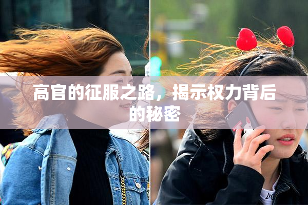 高官的征服之路，揭示权力背后的秘密