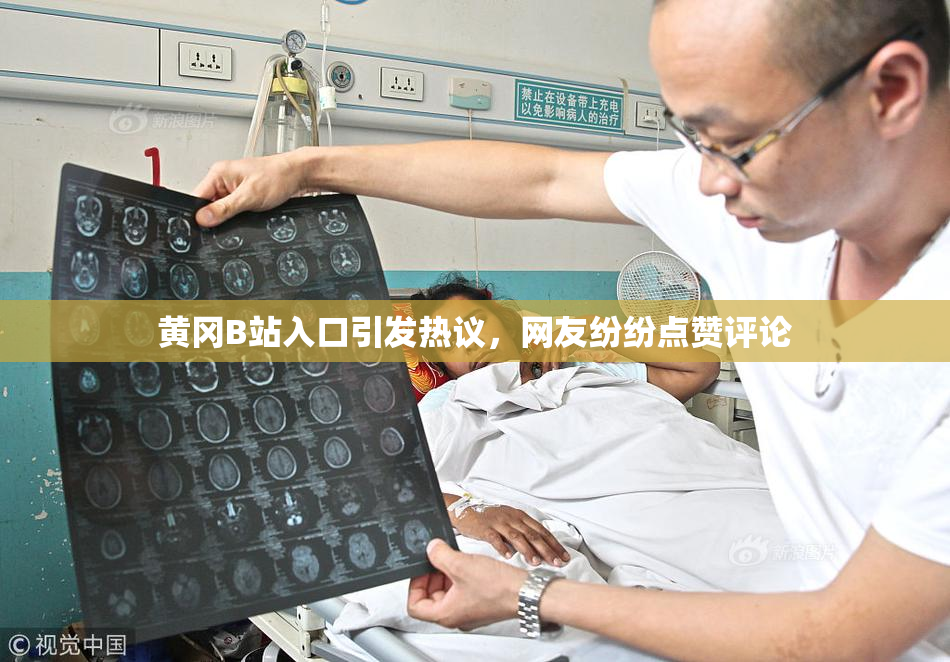 黄冈B站入口引发热议，网友纷纷点赞评论