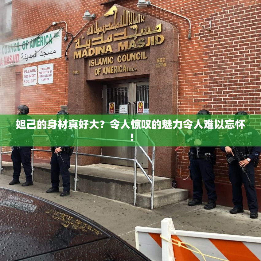 妲己的身材真好大？令人惊叹的魅力令人难以忘怀！