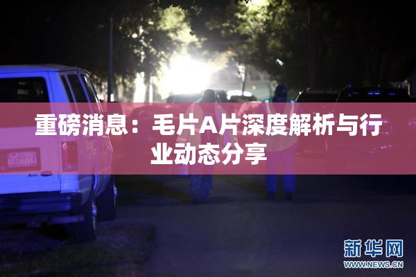 重磅消息：毛片A片深度解析与行业动态分享