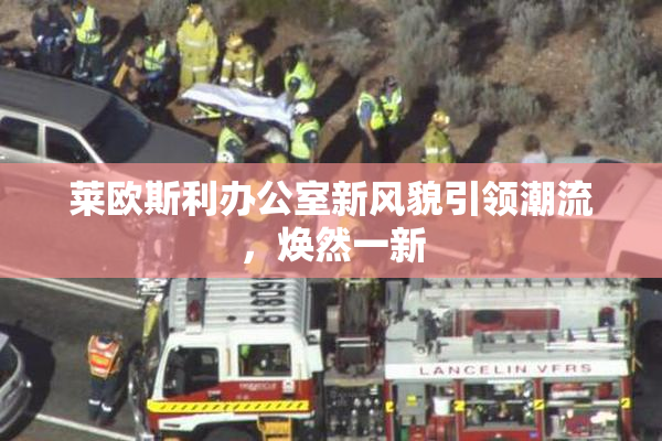 莱欧斯利办公室新风貌引领潮流，焕然一新