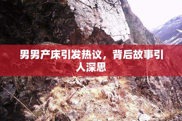男男产床引发热议，背后故事引人深思