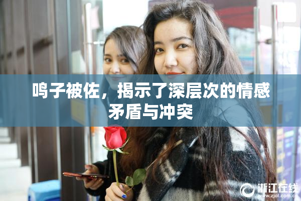 鸣子被佐，揭示了深层次的情感矛盾与冲突