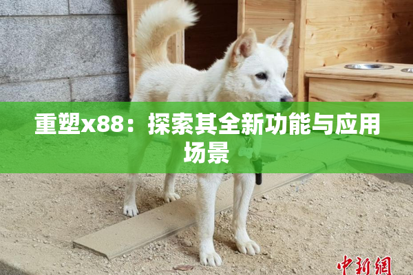 重塑x88：探索其全新功能与应用场景