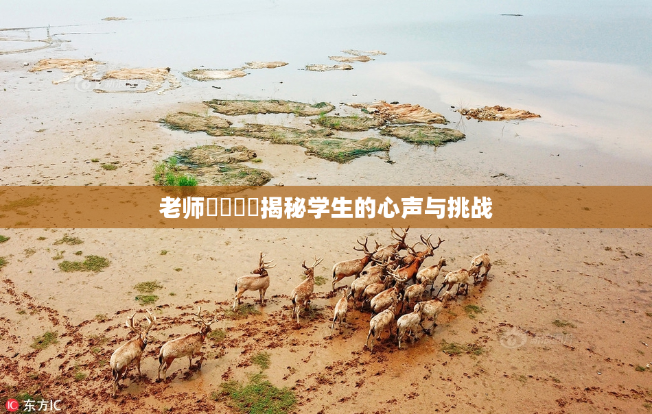 老师❌‌❌‌揭秘学生的心声与挑战