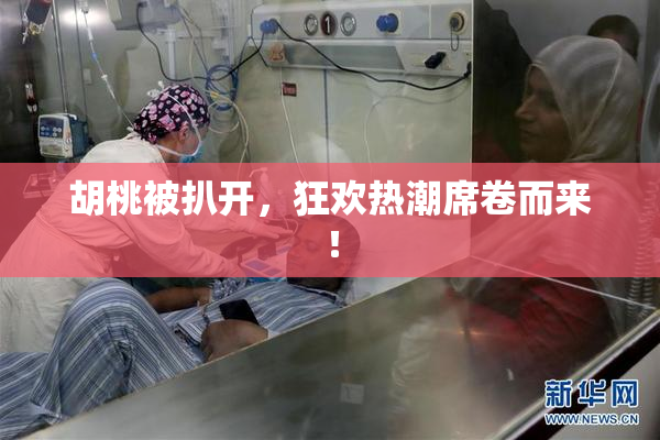 胡桃被扒开，狂欢热潮席卷而来！