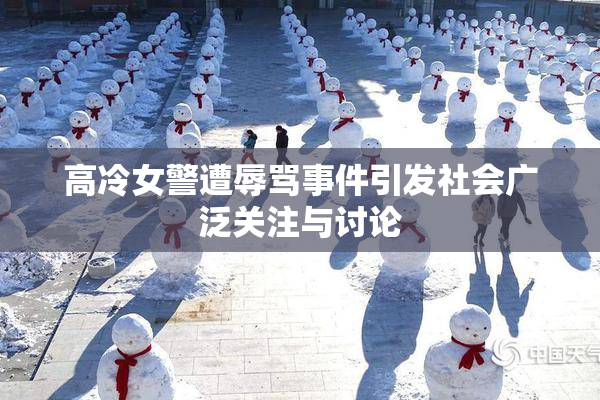 高冷女警遭辱骂事件引发社会广泛关注与讨论