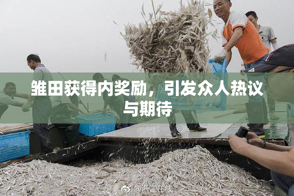 雏田获得内奖励，引发众人热议与期待