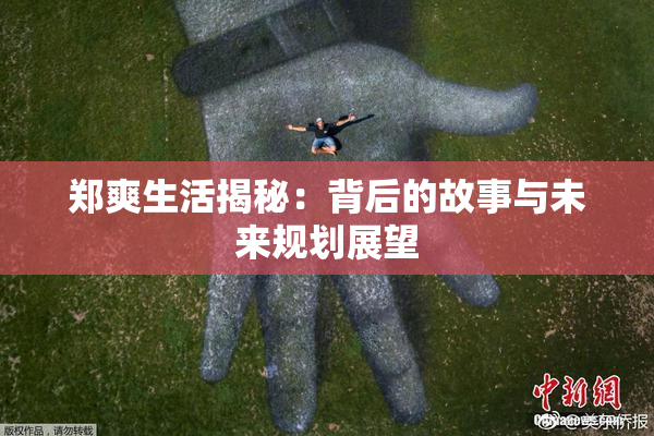 郑爽生活揭秘：背后的故事与未来规划展望