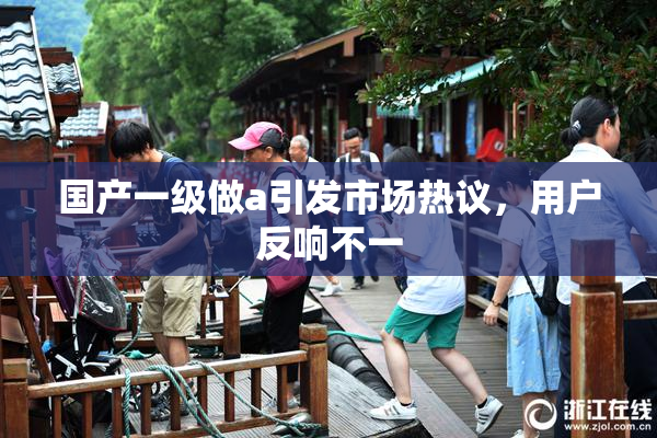 国产一级做a引发市场热议，用户反响不一