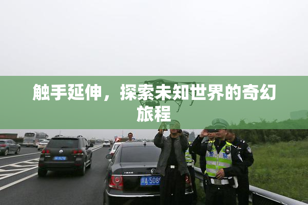 触手延伸，探索未知世界的奇幻旅程