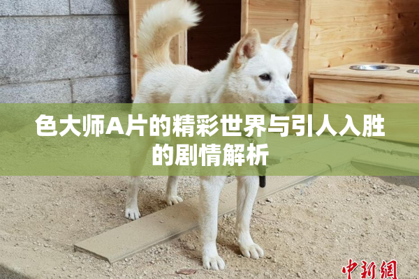 色大师A片的精彩世界与引人入胜的剧情解析