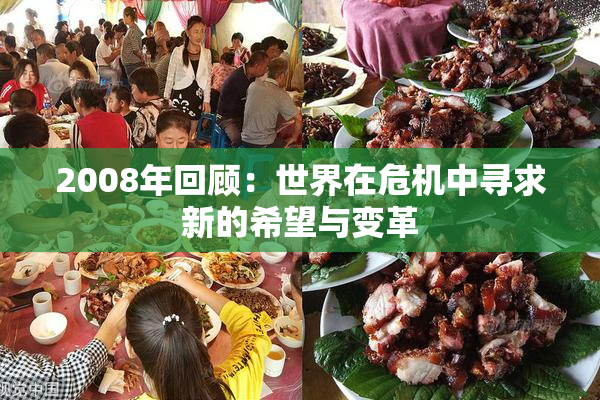 2008年回顾：世界在危机中寻求新的希望与变革