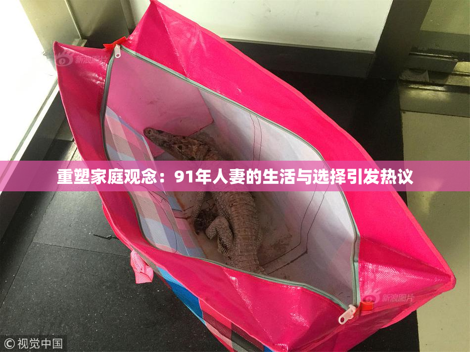 重塑家庭观念：91年人妻的生活与选择引发热议