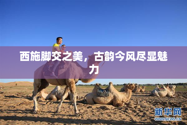 西施脚交之美，古韵今风尽显魅力