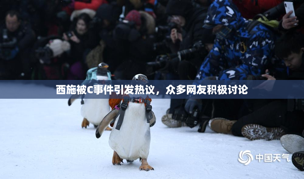 西施被C事件引发热议，众多网友积极讨论